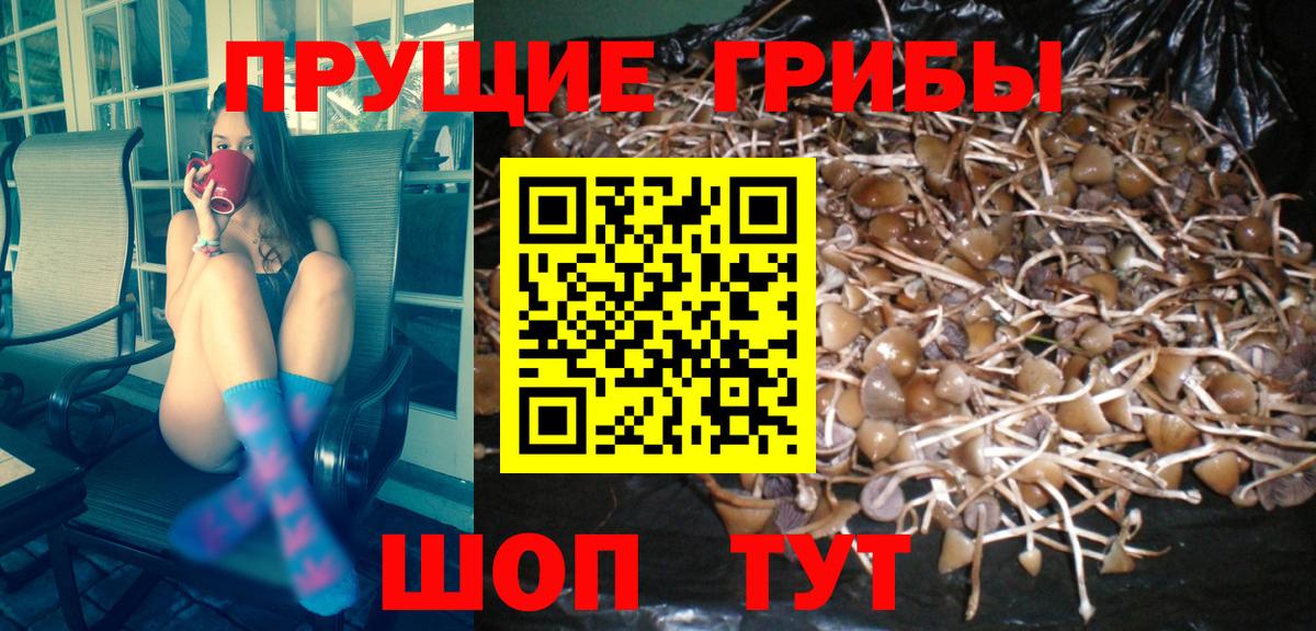 Галлюциногенные грибы прущие грибы  Галлюциногенные грибы Magic Shrooms  Вход с VPN  Ижевск 